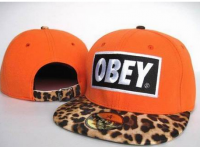 OBEY